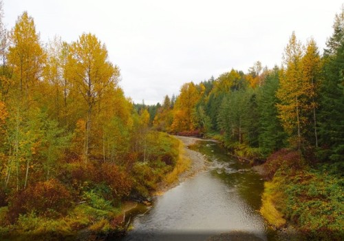 The Vibrant Community of Snohomish County, WA